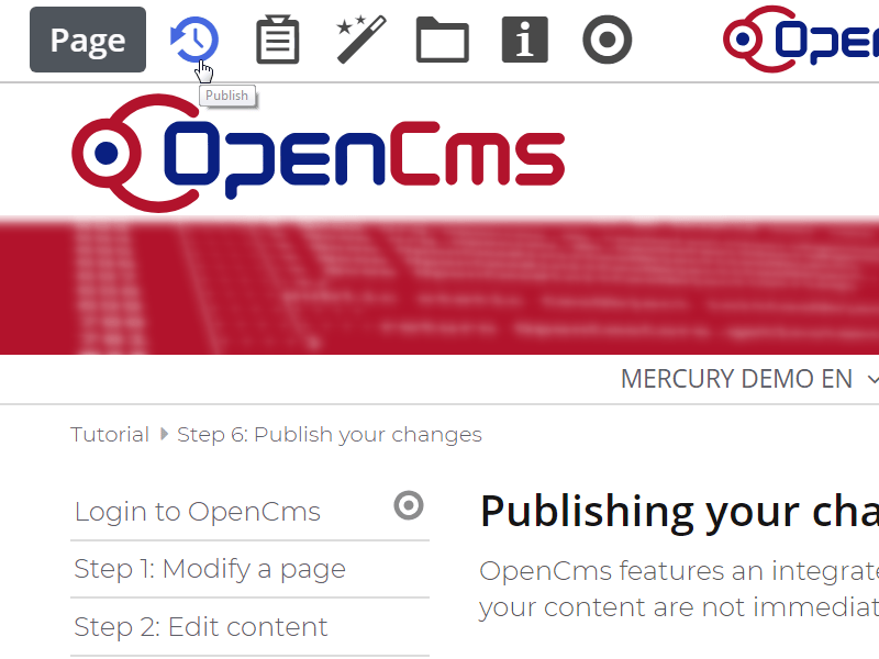 Click on 'Publish' in the toolbar